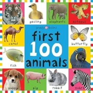 Children's First 100 Animals - A Large Colourful Board Book